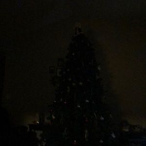 Meet your Posher, Timothy